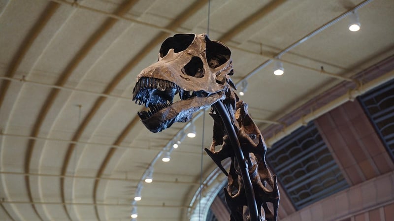 Jurassic Era